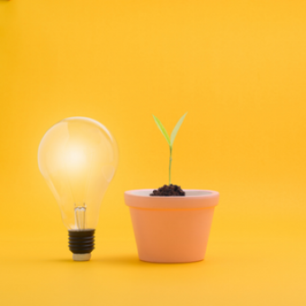Marketing image of a plant and lightbulb