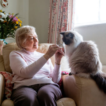 Older Australian woman sitting with her cat